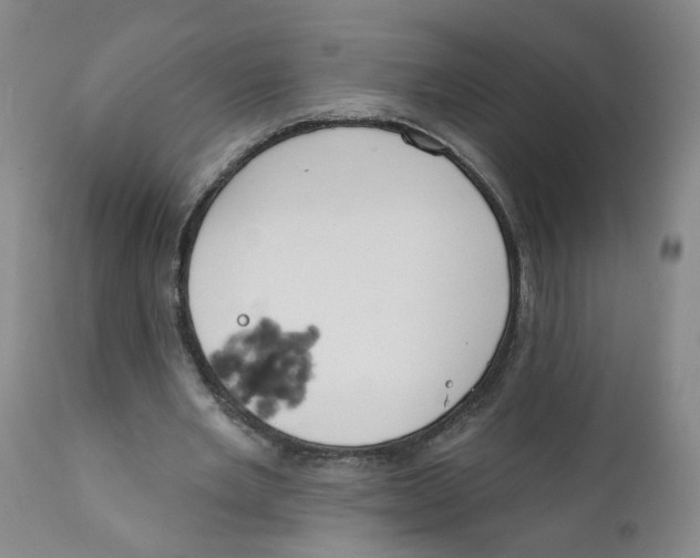 X0000112380485200909101350