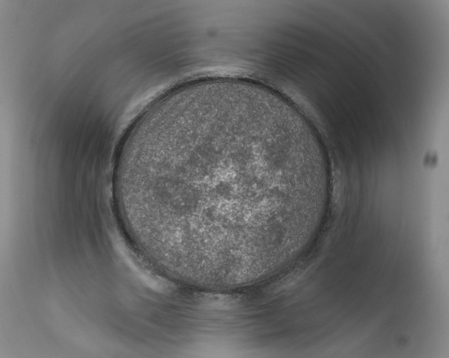 X0000112380486200909101350