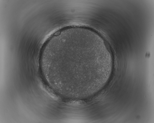 X0000112380488200909101350