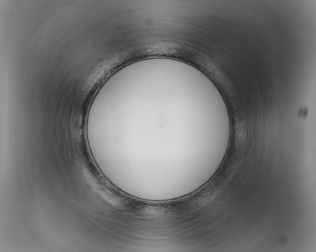 X0000112380490200909101350