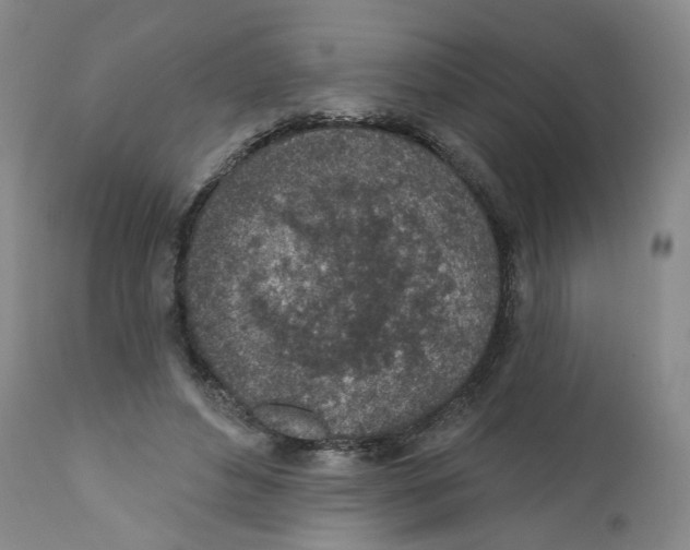 X0000112380496200909101350