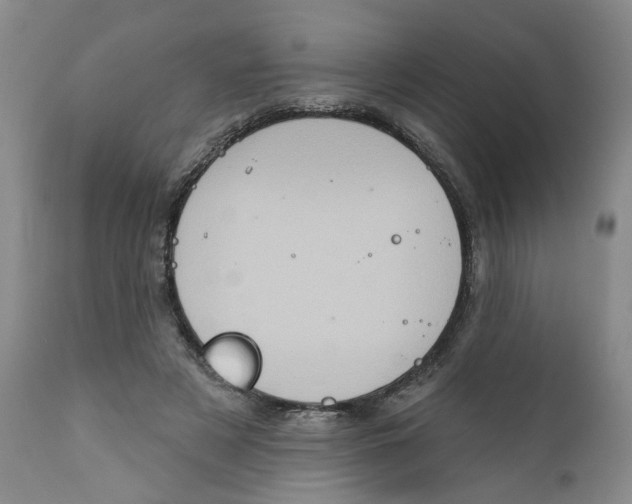 X0000112380497200909101350