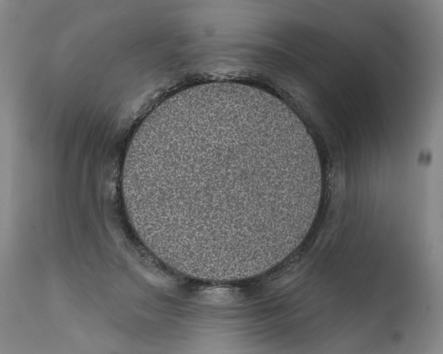 X0000112380499200909101350