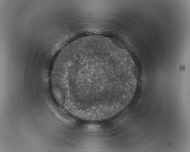 X0000112380500200909101350