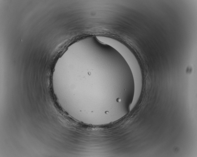 X0000112380501200909101350