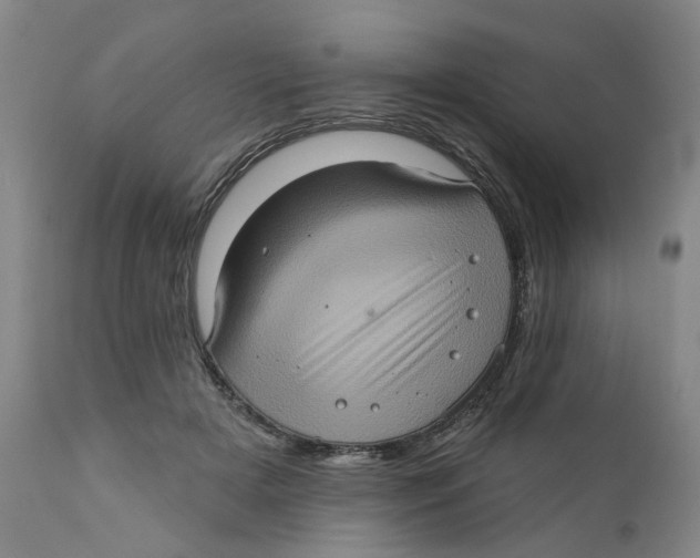 X0000112380505200909101350