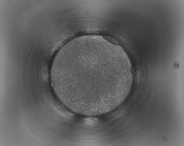 X0000112380508200909101350