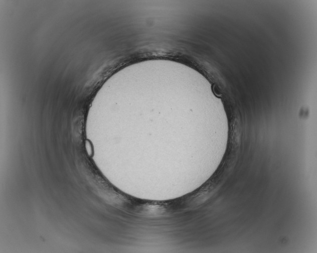 X0000112380509200909101350