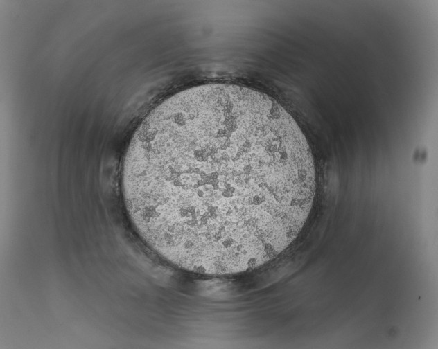 X0000112380511200909101350