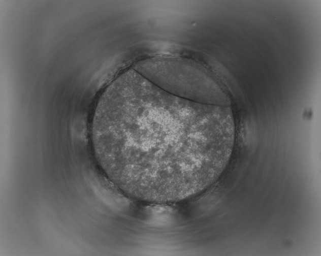 X0000112380512200909101350