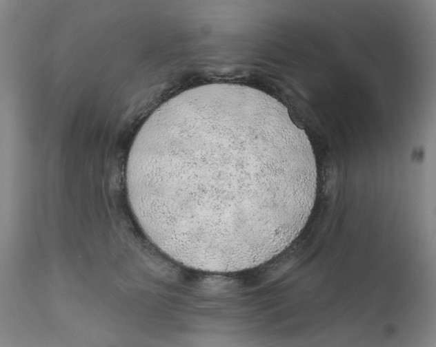 X0000112380515200909101350