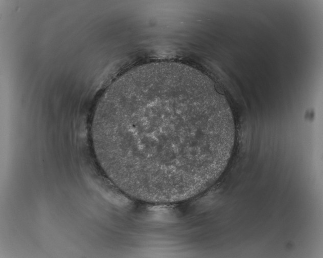 X0000112380516200909101350