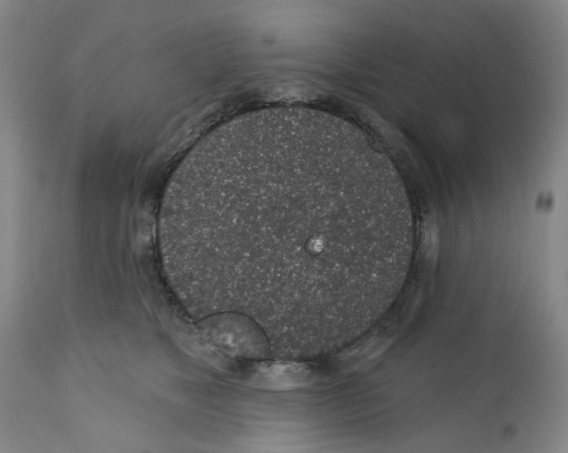 X0000112380517200909101350