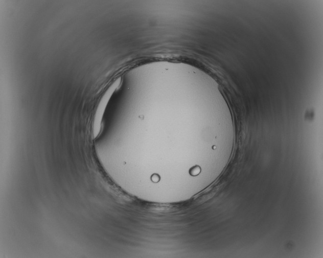 X0000112380521200909101350