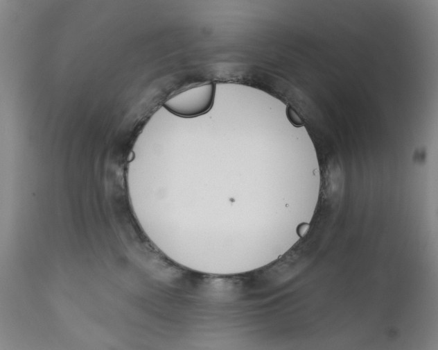 X0000112380522200909101349