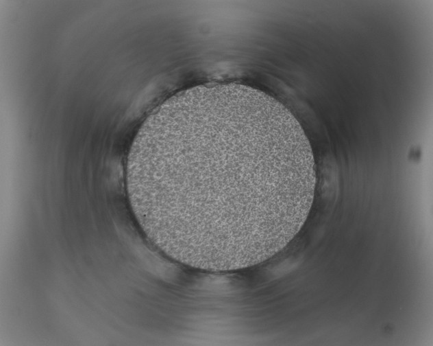 X0000112380523200909101349