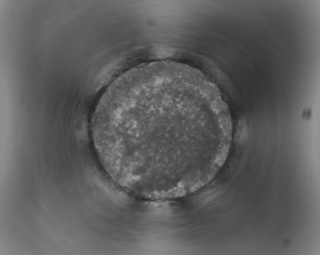 X0000112380524200909101349