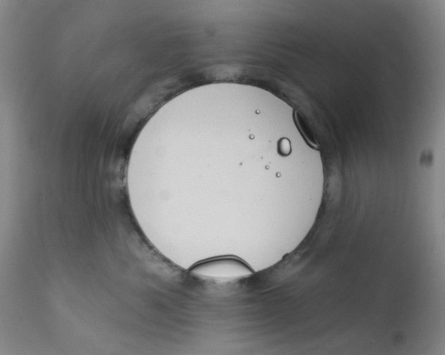 X0000112380525200909101349