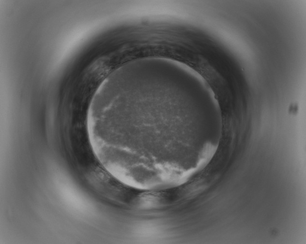 X0000112380526200909101349