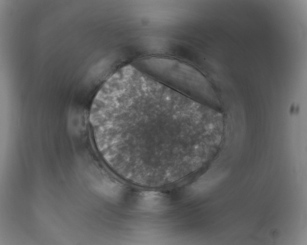 X0000112380528200909101349