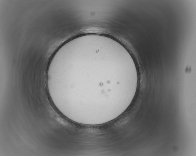 X0000112380529200909101348