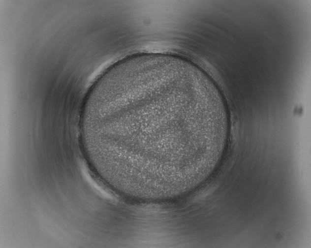 X0000112380530200909101348