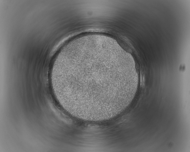 X0000112380531200909101348