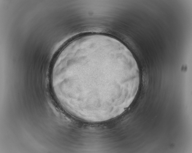 X0000112380532200909101348