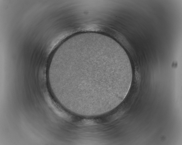 X0000112380534200909101348