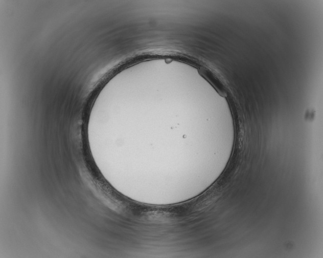 X0000112380535200909101348