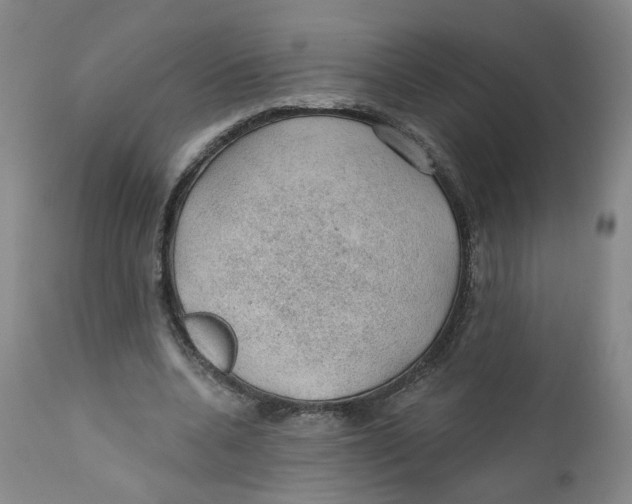 X0000112380536200909101349