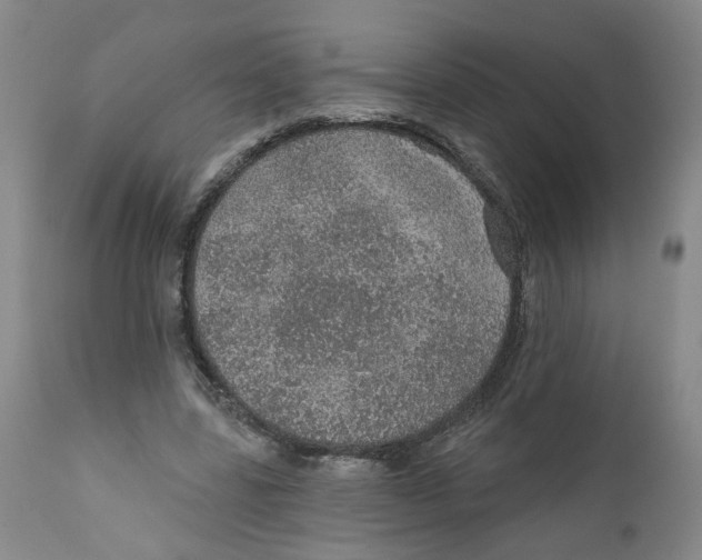 X0000112380539200909101349