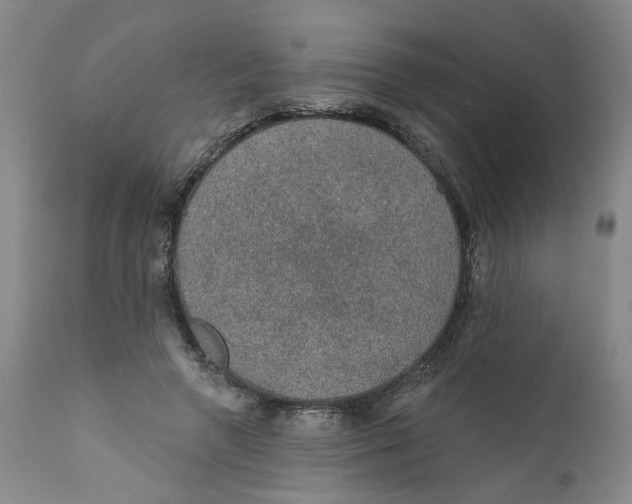 X0000112380546200909101349