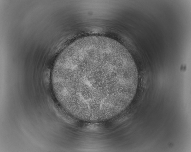 X0000112380550200909101349