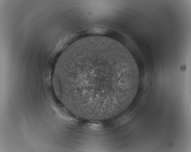 X0000112380552200909101349