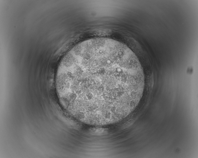 X0000112380553200909101349