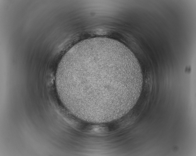 X0000112380555200909101349