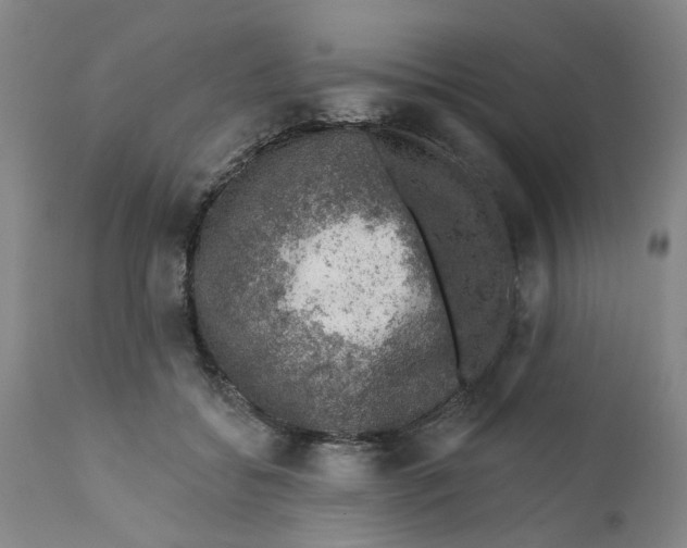 X0000112380556200909101349