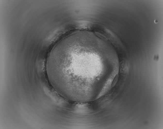 X0000112380560200909101349