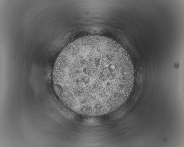 X0000112380561200909101349