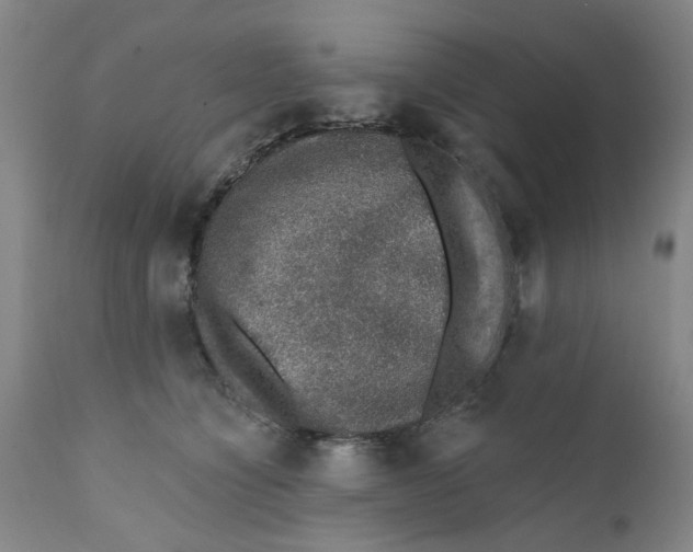 X0000112380564200909101349