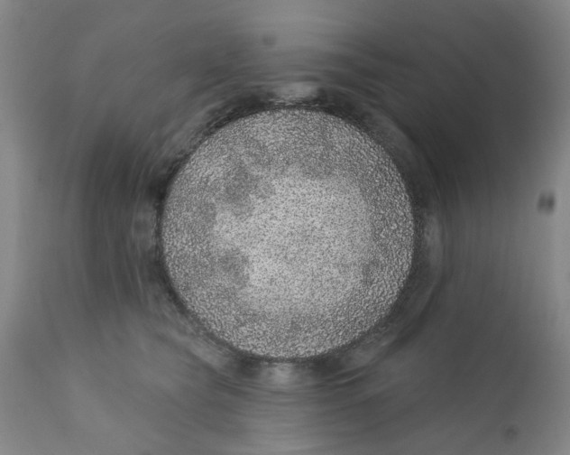 X0000112380565200909101349