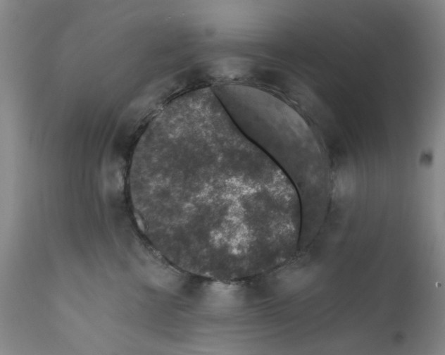 X0000112380570200909101349