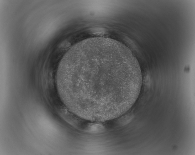 X0000112380572200909101349