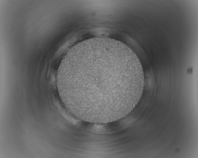 X0000112380573200909101349