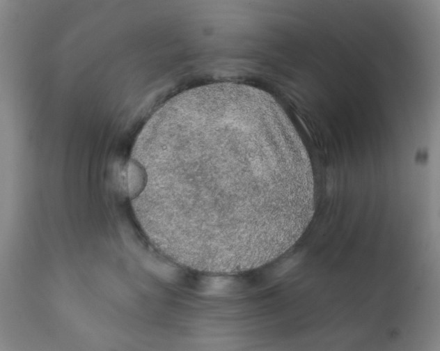 X0000112380575200909101349