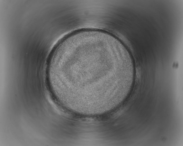 X0000112380580200909101348