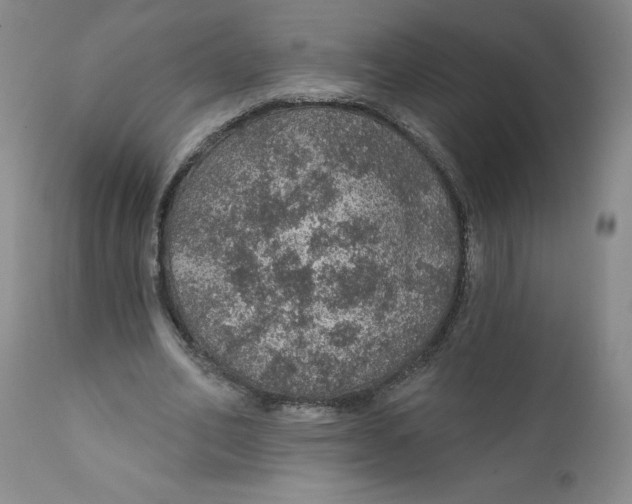 X0000112380582200909101348