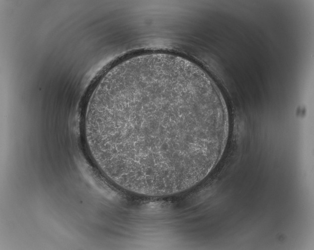 X0000112380584200909101348