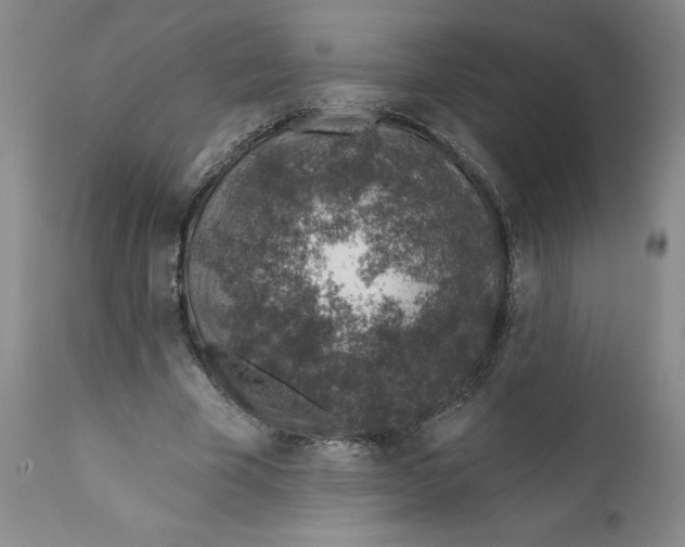 X0000112380585200909101348